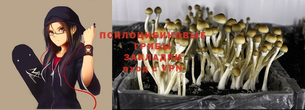 молекула духа Белоозёрский