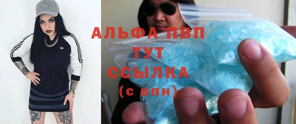молекула духа Белоозёрский