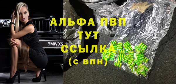 молекула духа Белоозёрский