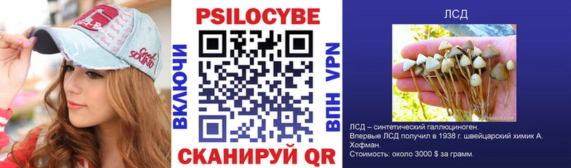 Галлюциногенные грибы мицелий где продают наркотики Покровск