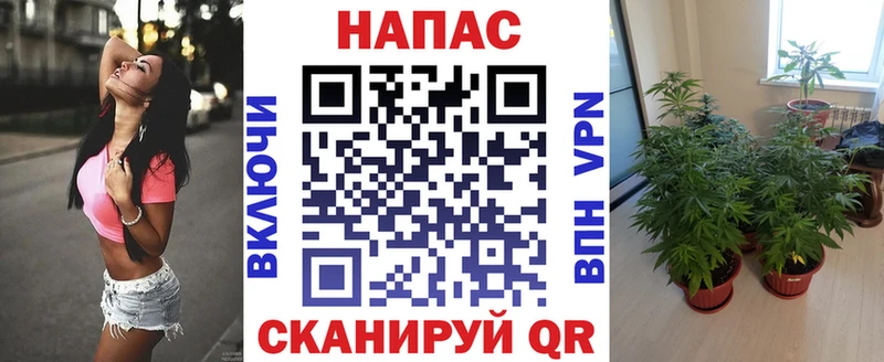 Марихуана конопля  hydra ССЫЛКА  Покровск  хочу наркоту 